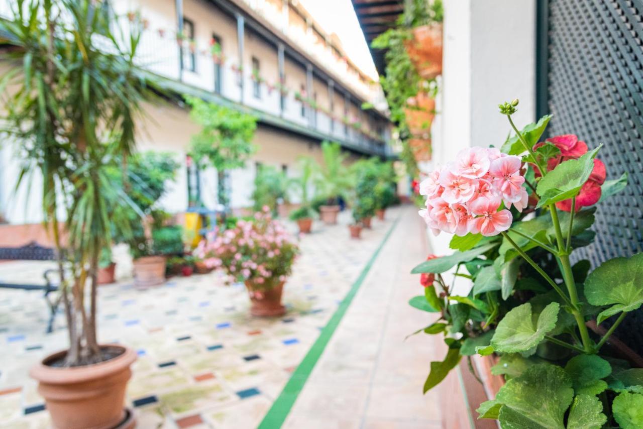 Hoteles Del Sur Σεβίλλη Εξωτερικό φωτογραφία
